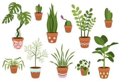 A set of potted indoor plants. Vector on white background. Stock Illustration
