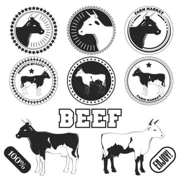 Set of premium beef labels, badges and design elements. 스톡 일러스트