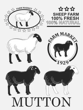 Set of premium lamb labels, mutton, badges and design elements. Vector Illustrazione stock