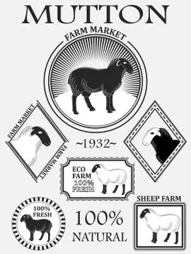 Set of premium lamb labels, mutton, badges and design elements. Vector Stock Illustration