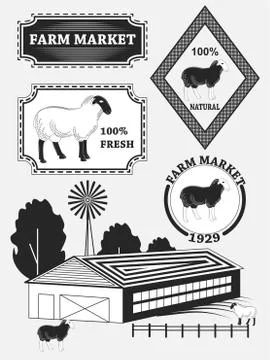 Set of premium lamb labels, mutton, badges and design elements. Stock Illustration
