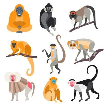 Set of Primates and Monkeys. Vector Illustration Stock Illustration