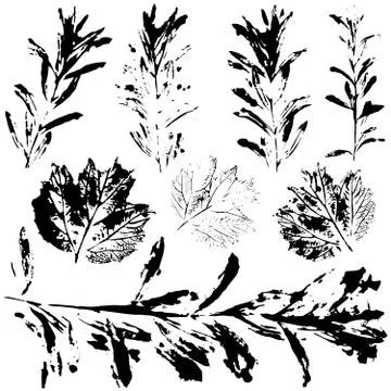 Set of prints black leaves on a white background. vector Stock Illustration