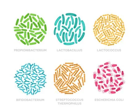 Set of probiotic bacteria in a circle. Good microorganisms colorful concept Stock Illustration