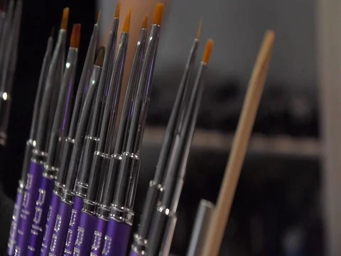 A set of professional brushes for makeup and cosmetic purposes. Stock Footage 73397673