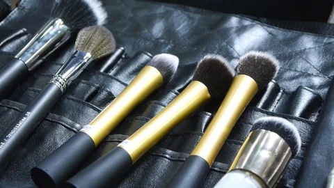 A set of professional brushes for makeup and cosmetic purposes. Stock Footage 73397693