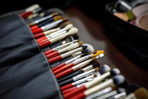 Set of Professional Makeup brushes. Stock Photos