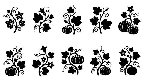 Set of pumpkin and vine leaf icons, simple flat black symbols for autumn, t.. Ilustración de archivo