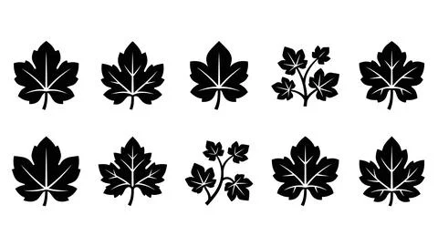 Set of pumpkin leaves vector icon, autumn foliage, black silhouette, design.. Stock Illustration