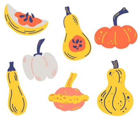 Set of pumpkin. Various pumpkins. Slices, halves, zucchini, squash. Autumn mo Stock Illustration