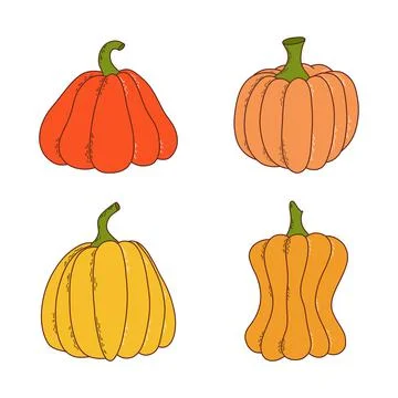 Set of pumpkin of various shapes and colors. Thanksgiving and halloween elements Illustrazione stock