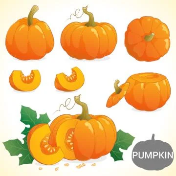 Set of pumpkin in various styles vector format 스톡 일러스트