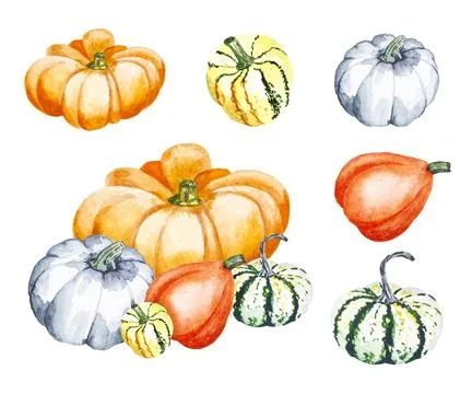 Set of pumpkins and elements. Watercolor illustration of bright pumpkins Stock Illustration