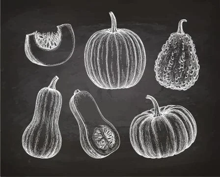 Set of pumpkins on chalkboard Illustrazione stock