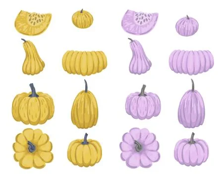 Set of pumpkins of different colors and forms. Autumn design elements. Vector 스톡 일러스트