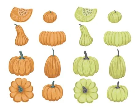 Set of pumpkins of different colors and sizes. Autumn design elements. Vector イラスト素材