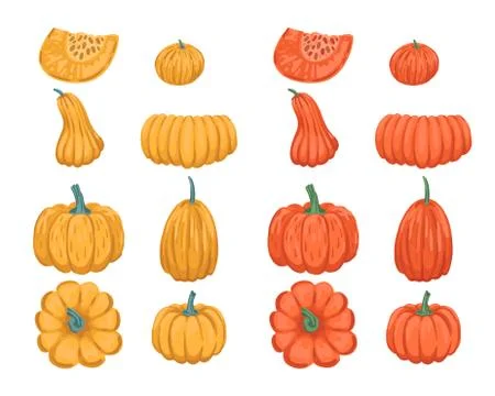 Set of pumpkins of different colors and sizes. Autumn design elements. Vector Stock Illustration