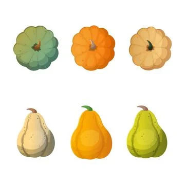 Set of pumpkins of different colours and sizes Stock Illustration