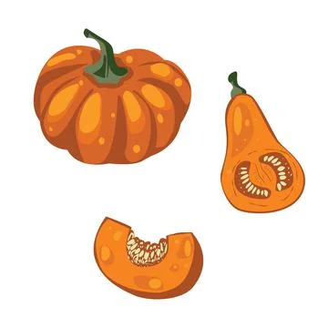Set with pumpkins. Different pumpkins kinds, halfs and wholes Illustrazione stock