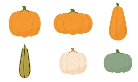 A set of pumpkins of different shapes and different colors. Stock Illustration