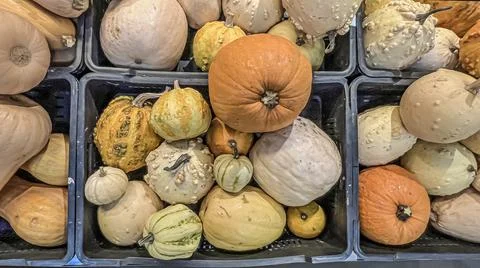 A set of pumpkins of different shapes and sizes for Halloween in a stack on the Stockfoto's