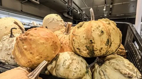 A set of pumpkins of different shapes and sizes for Halloween in a stack on the 스톡 사진