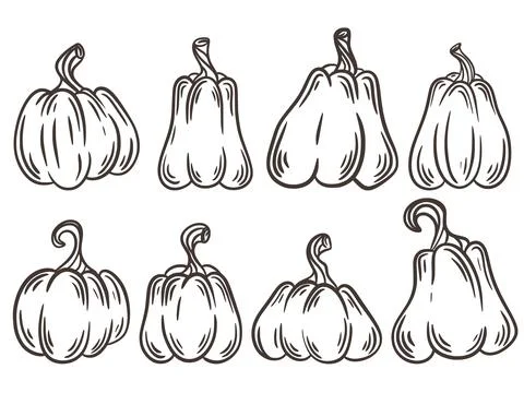 Set of pumpkins of different shapes in silhouette Illustrazione stock