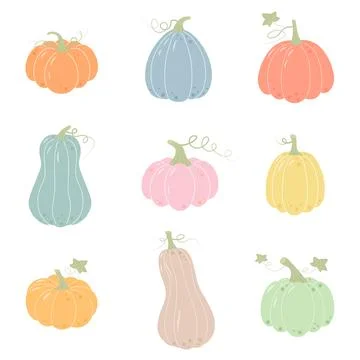 Set of pumpkins. Hand drawn pumpkins of different shapes and colors. Stock Illustration