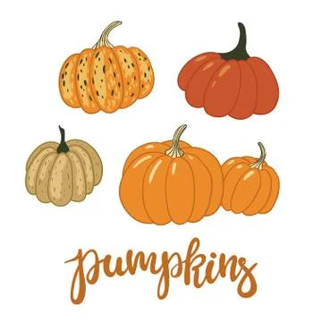 Set of pumpkins isolated on white. Vector illustration. Stock Illustration