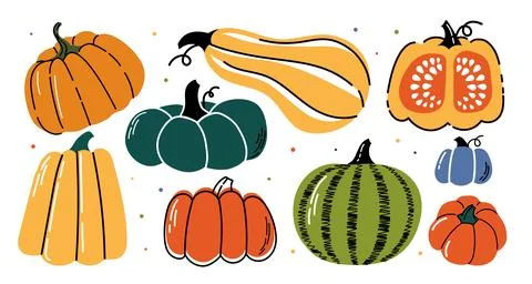 Set of pumpkins. Orange, yellow and green vegetables. Autumn and fall season Stock Illustration