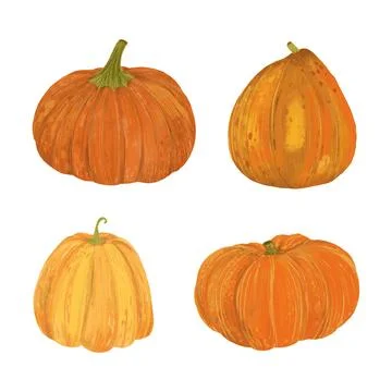 Set of pumpkins. Vector. Autumn pumpkin symbol for Halloween or Thanksgiving. Stock Illustration