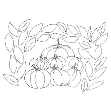 Set of pumpkins. Vector illustration of different pumpkins on Halloween. Brig Stock Illustration