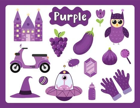 Set of purple color objects. Primary colors flashcard with purple elements Stock Illustration