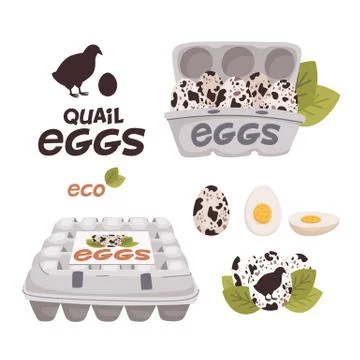 Set of quail, Eggs in cardboard boxes and Fresh farm eggs logo. Organic farm Stock Illustration