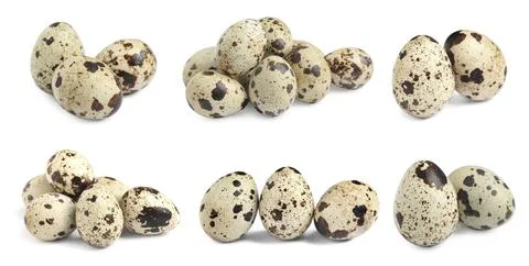 Set with quail eggs on white background. Banner design Stock Photos