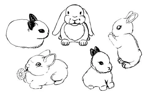 Set of rabbits. drawings Stock Illustration