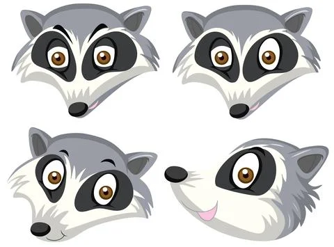 Set of raccoon head Stock Illustration