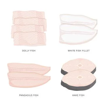 Set of raw fish slice and meat steaks Vector. Stock Illustration