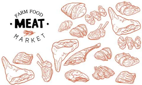 A set of raw meat. Beef, pork, lamb Stock Illustration