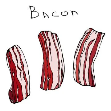 Set of Raw Sliced Bacon. Realistic Vector Illustration Isolated Hand Drawn Stock Illustration