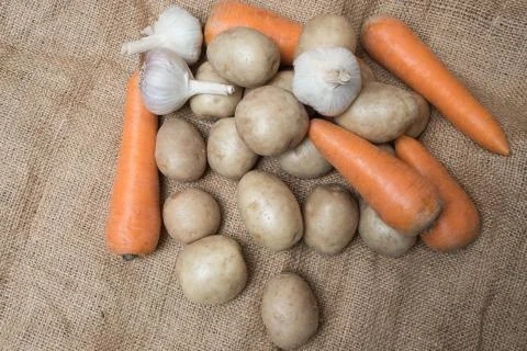 Set of raw vegetables. Stock Photos