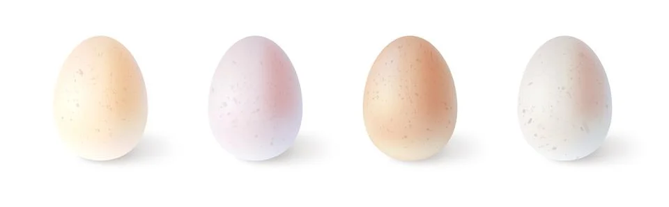 Set of realistic chicken eggs. Vector illustration isolated on white background Stock Illustration