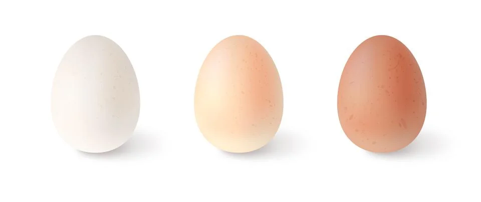 Set of realistic chicken eggs. Vector illustration isolated on white background Stock Illustration