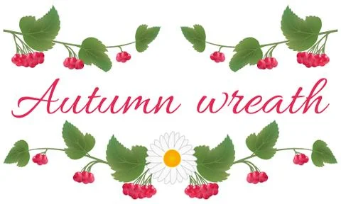 Set of realistic clusters of viburnum berries with leaves. Red berries and green Stock Illustration