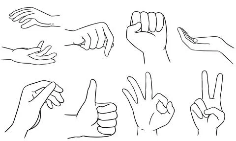 Set of realistic gestures, hand shapes. イラスト素材