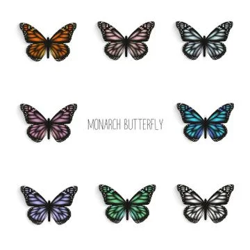 Set of realistic monarch butterflies in different colors. Stock Illustration