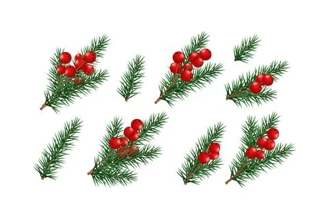 Set of realistic pine branches and red berries Illustrazione stock