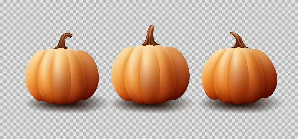 Set of realistic pumpkins Stock Illustration