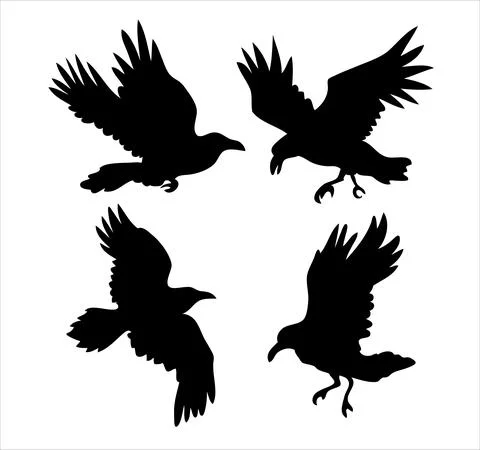 Set of realistic raven vector silhouettes for icons. Hand drawn style Stock Illustration