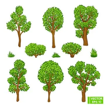 Set of realistic summer trees. Иллюстрация
